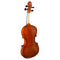 Hidersine Vivente Series 1/8 Size Violin
