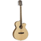 Tanglewood Acoustic Guitar,  Discovery: DBT SFCE PW
