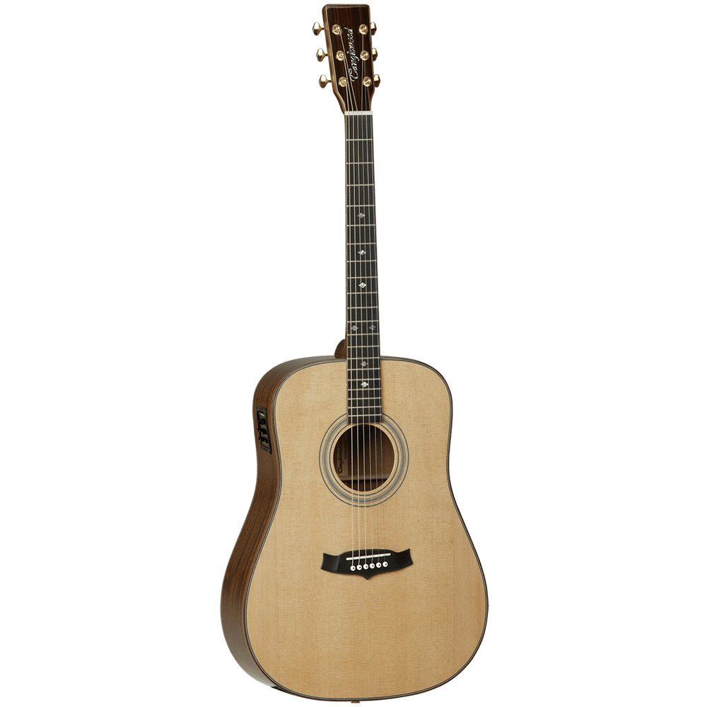 Tanglewood seagull hot sale acoustic guitar