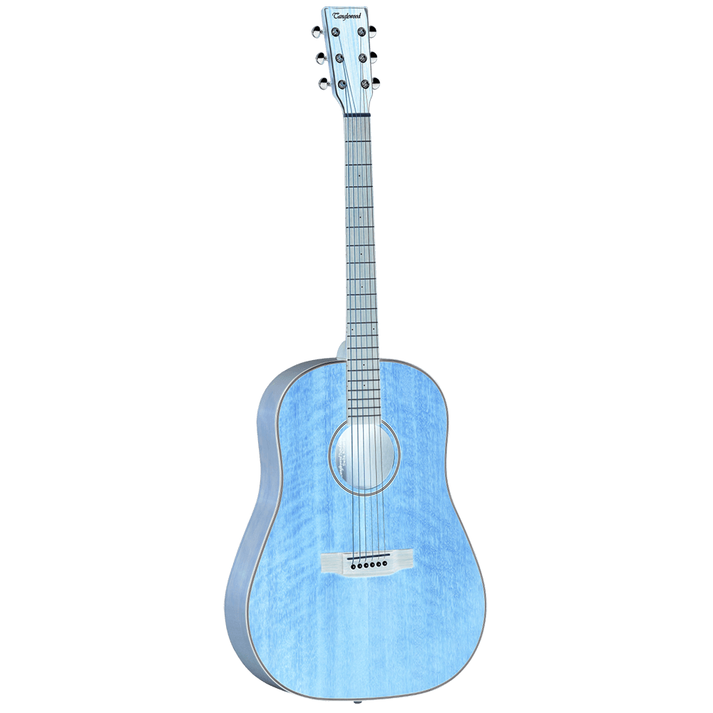 Tanglewood seagull outlet