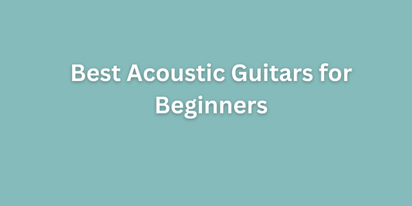 Best Acoustic Guitars for Beginners in 2023