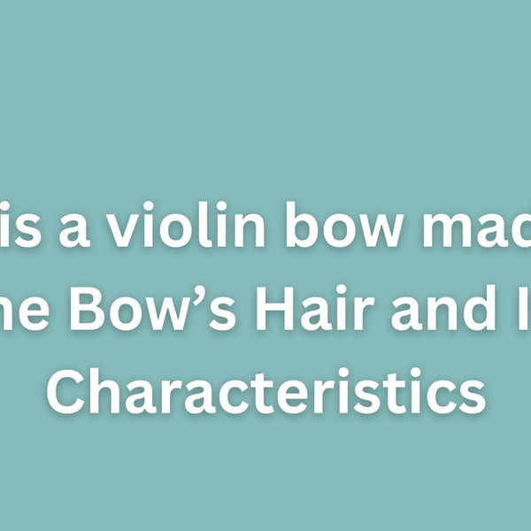Violin bow shop made of