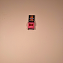 Dickies Pick Pocket - Pink