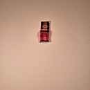 Dickies Pick Pocket - Pink Patterned