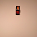 Dickies Pick Pocket - Tartan