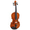 Hidersine Vivente Series 1/8 Size Violin