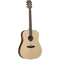 Tanglewood Acoustic Guitar, Discovery: DBT D EB