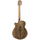 Tanglewood Acoustic Guitar,  Discovery: DBT SFCE PW