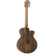 Tanglewood Acoustic Guitar, Discovery: DBT PW LH (Left Handed)