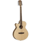 Tanglewood Acoustic Guitar, Discovery: DBT PW LH (Left Handed)