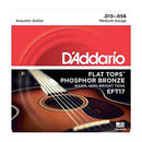 Acoustic Guitar Strings: D'Addario Flat Top (13-56)