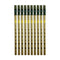 Feadog C Tin Whislte 10 Box | C Brass Tin Whistle, Green Top