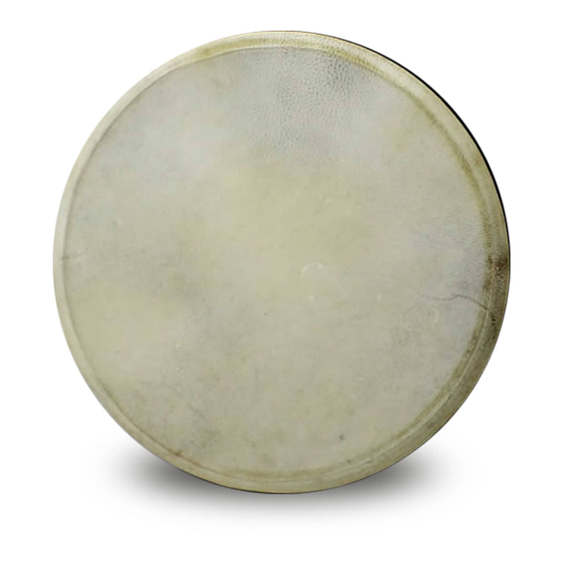 Koda 12" Bodhran Irish Designs Plain 