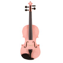 Koda Violin Outfit with ebony pegs, carbon fibre tailpiece, incl. case, bow & rosin