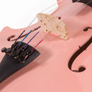 Koda Violin Outfit with ebony pegs, carbon fibre tailpiece, incl. case, bow & rosin