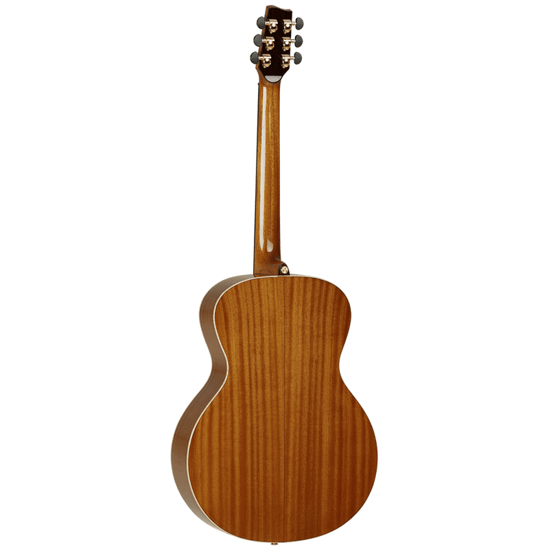Tanglewood Electro-Acoustic Guitar Master Design: TSM 2