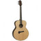 Tanglewood Electro-Acoustic Guitar Master Design: TSR 3