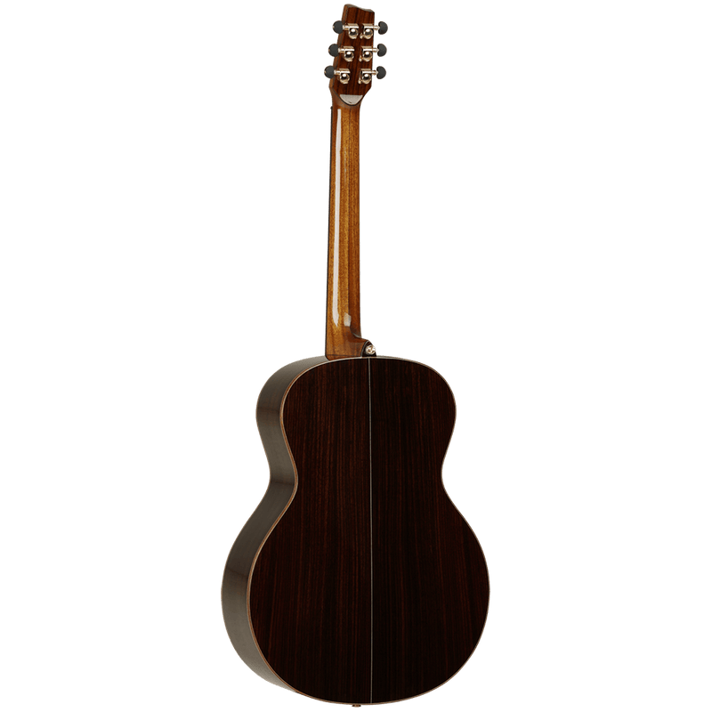 Tanglewood Electro-Acoustic Guitar Master Design: TSR1