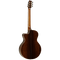 Tanglewood Electro-Acoustic Guitar  Master Design: TSR 2 C