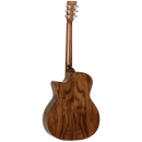 Tanglewood Acoustic Guitar,  Evolution Exotic: TVC X PW