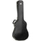 Tanglewood Acoustic Guitar: ABS Dreadnought Case