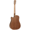 Tanglewood Winterleaf Series: TW10