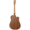 Tanglewood Winterleaf Series: TW10 (Left Handed)