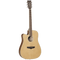 Tanglewood Winterleaf Series: TW10 (Left Handed)