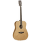 Tanglewood Winterleaf Series: TW11 D OL