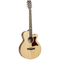 Tanglewood Electro-Acoustic Guitar Premier: TW145 SSCE