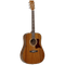 Tanglewood Acoustic Guitar Sundance Pro: TW 15 ASM