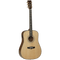 Tanglewood Electro-Acoustic Guitar Heritage Series TW15 H E Dreadnought