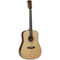 Tanglewood Acoustic Guitar Heritage Series: TW15 H Dreadnought