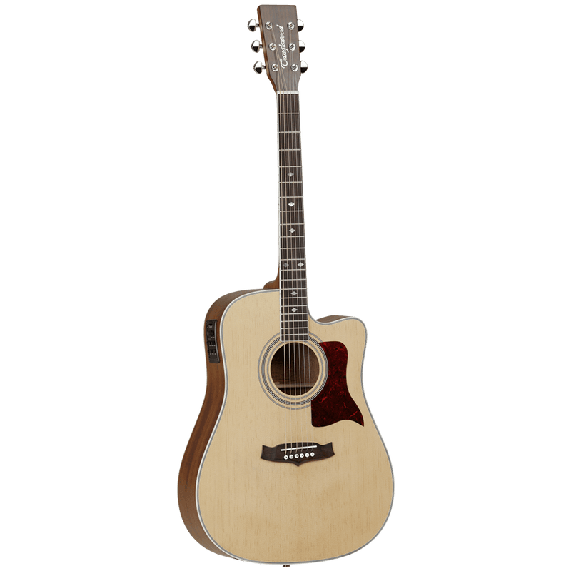 Tanglewood tw15 top