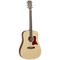 Tanglewood Acoustic Guitar Sundance Pro: TW15 NS