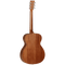 Tanglewood Winterleaf Series: TW2
