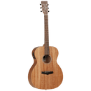 Tanglewood Winterleaf Series: TW2