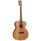 Tanglewood Winterleaf Series: TW2