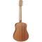 Tanglewood Winterleaf Series: TW2E