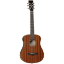 Tanglewood Winterleaf Series: TW2 TE