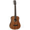 Tanglewood Winterleaf Series: TW2 T