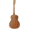 Tanglewood Winterleaf Series: TW 3 E(Left Handed)