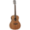 Tanglewood Winterleaf Series: TW 3 E(Left Handed)