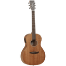 Tanglewood Winterleaf Series: TW3