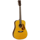 Tanglewood Electro-Acoustic Guitar Sundance Historic: TW40 D AN E
