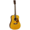 Tanglewood Acoustic Guitar Sundance Delta: TW40 OD Dreadnought