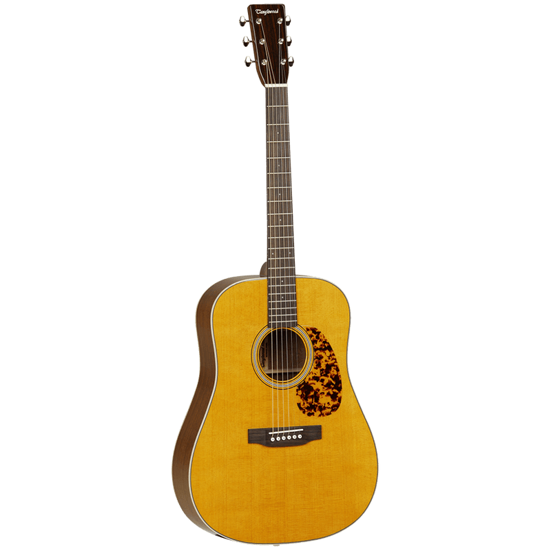 Tanglewood Acoustic Guitar Sundance Delta: TW40 OD Dreadnought