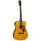 Tanglewood Electro-Acoustic Guitar Sundance Historic: TW40 AN E