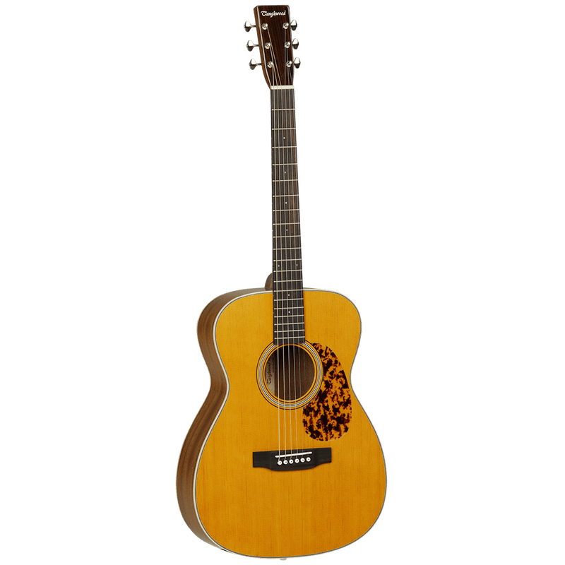 Old shop tanglewood guitars