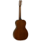 Tanglewood Acoustic Guitar Sundance Delta: TW40 PD Parlour Size